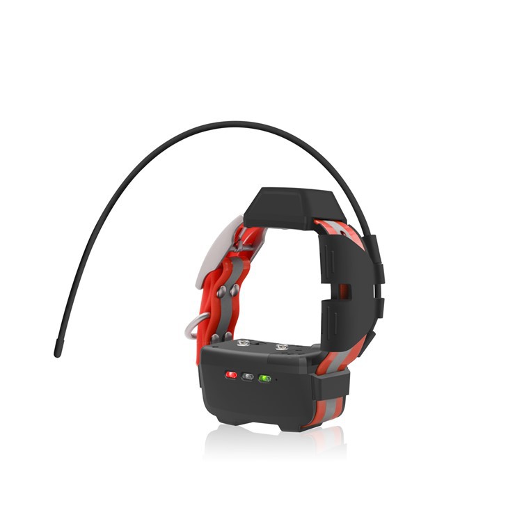 منی جی پی ایس ڈاگ کالر